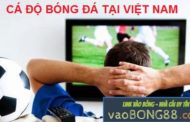 Cá độ tại Việt Nam đã được hợp pháp hóa chưa?