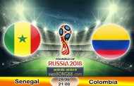 Tỷ lệ cá cược Senegal vs Colombia (28-06) Nhận định World Cup