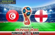 Trực tiếp bóng đá Anh vs Tunisia (01:00 - 19-06)
