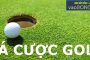 Tìm hiểu về cá cược Golf trực tuyến tại nhà cái hiện nay